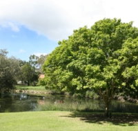 Hervey Bay Botanic Gardens