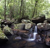 Kangaroo River - Darwin Tourism