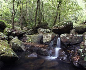 Kangaroo River - Darwin Tourism 0