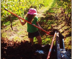 East Gippsland Wines - Darwin Tourism 5