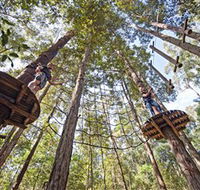 TreeTop Adventure Park Central Coast - Darwin Tourism