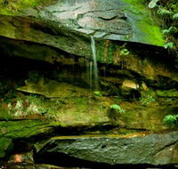 Strickland State Forest - Darwin Tourism