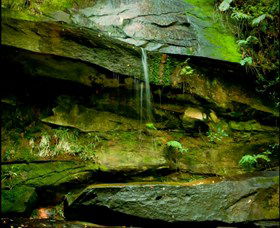 Strickland State Forest - Darwin Tourism 0