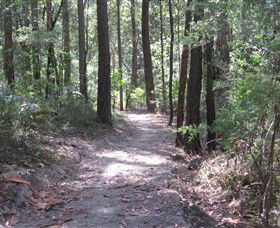 Strickland State Forest - Darwin Tourism 2