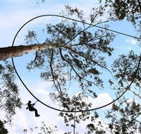 TreeTops Crazy Rider - Darwin Tourism