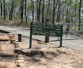 Wild Horse Mountain Lookout - Darwin Tourism 0