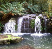 Barrington Tops National Park Walks - Darwin Tourism