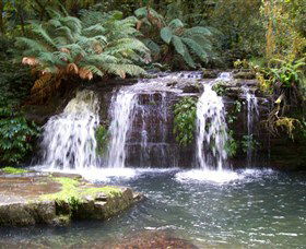 Barrington Tops National Park Walks - Darwin Tourism 0