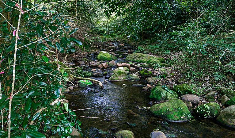 Macquarie Pass NSW Darwin Tourism
