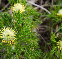 Illawarra lookout walking track - Darwin Tourism