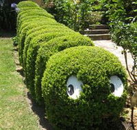 Nutcote - May Gibbs' Home - House Museum - Darwin Tourism