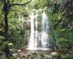 Budderoo National Park - The Falls Walk - Darwin Tourism 0