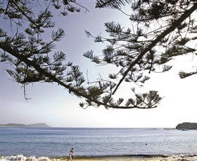 Terrigal Beach - Darwin Tourism 0