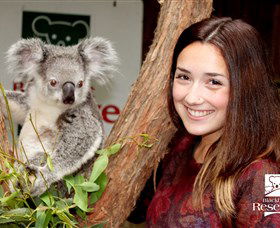  Darwin Tourism