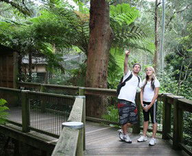 Blackbutt Reserve - Darwin Tourism 1