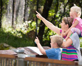 Blackbutt Reserve - Darwin Tourism 4