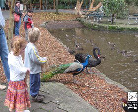 Blackbutt Reserve - Darwin Tourism 5
