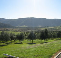 Hastings Valley Olives - Darwin Tourism