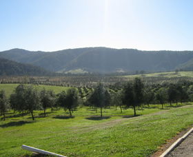 Hastings Valley Olives - Darwin Tourism 0