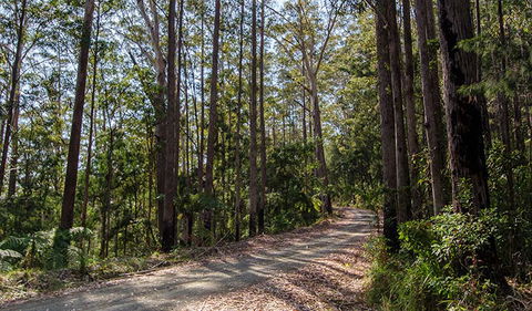 Hastings Forest Way Touring Route - Darwin Tourism 1