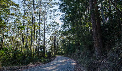 Hastings Forest Way Touring Route - Darwin Tourism 3