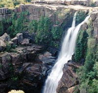 Minnamurra Rainforest Centre Budderoo National Park - Darwin Tourism
