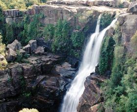 Minnamurra Rainforest Centre: Budderoo National Park - Darwin Tourism 0