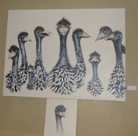 Galleries In The Gardens - Darwin Tourism 1