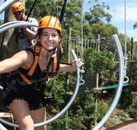 Wild Ropes at Taronga Zoo - Darwin Tourism