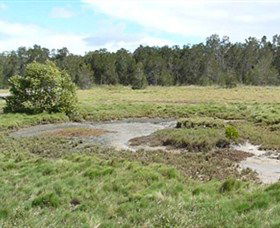Boondall Wetlands Reserve - Darwin Tourism 1