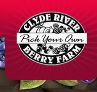Clyde River Berry Farm - Darwin Tourism