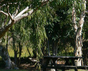 Mongogarie NSW Darwin Tourism