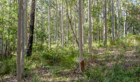 Corramy Regional Park - Darwin Tourism 1