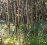 Anabranch loop track - Darwin Tourism