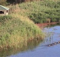 Spring Creek Wetlands Walk - Darwin Tourism