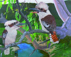 Platypus Gallery - Darwin Tourism 8