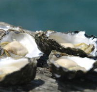 Jim Wilds Oyster Service - Darwin Tourism