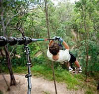 TreeTop Challenge - Darwin Tourism