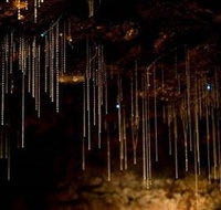 Tamborine Mountain Glow Worm Caves - Darwin Tourism