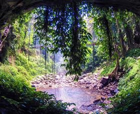 Dorrigo Rainforest Centre - Darwin Tourism 1