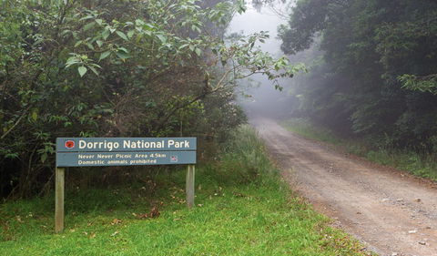 Never Never Picnic Area - Darwin Tourism 3