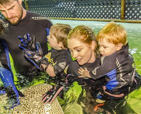 Irukandji Shark And Ray Encounters - Darwin Tourism 0