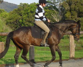 Kings Creek Saddle Club - Darwin Tourism 6