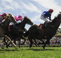 Moruya Racecourse - Darwin Tourism