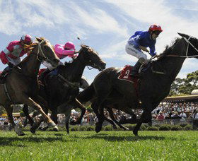 Moruya Racecourse - Darwin Tourism 0