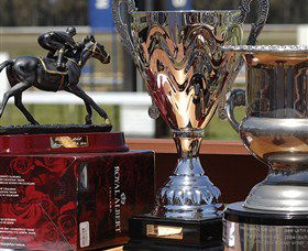 Moruya Racecourse - Darwin Tourism 4