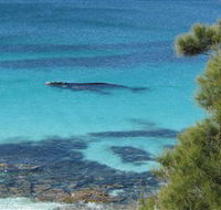 Jervis Bay Marine Park - Darwin Tourism
