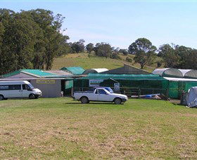 Tinonee NSW Darwin Tourism