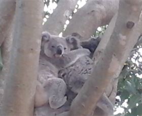 Mondrook Garden Cafe Gallery And Function Centre - Darwin Tourism 1