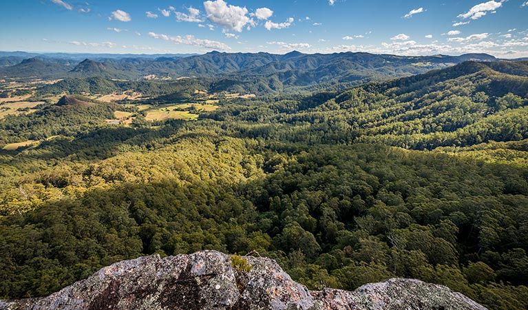 Lansdowne Forest ACT Darwin Tourism